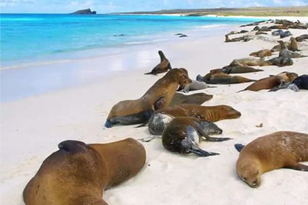 Letty Yacht - South & Central Islands