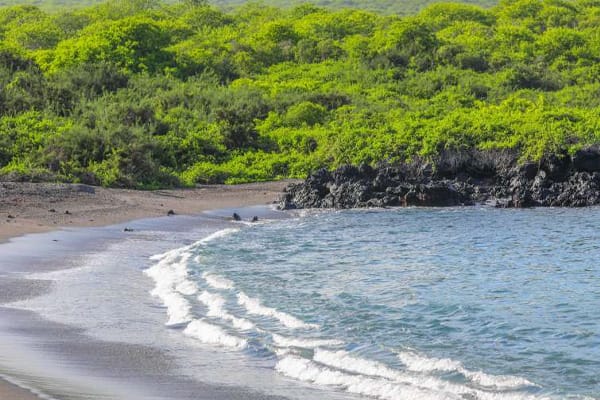 Letty Yacht - West & South - Central Islands