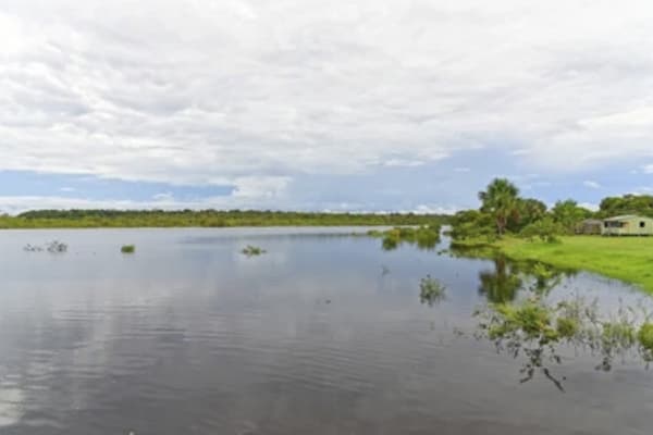 Manakin River Boat - Discovery Cruise
