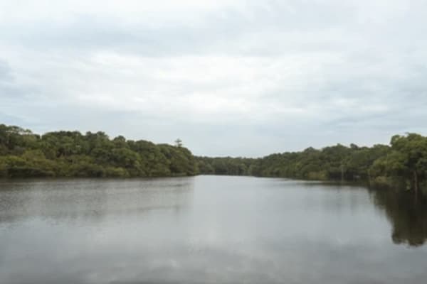 Manakin River Boat - Discovery Cruise