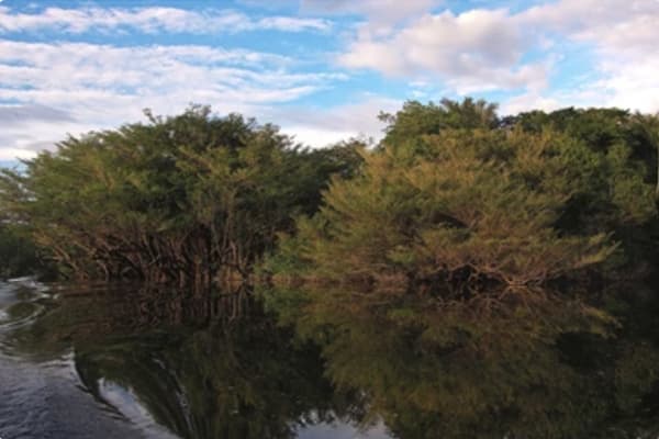 Manakin River Boat - Expedition Cruise