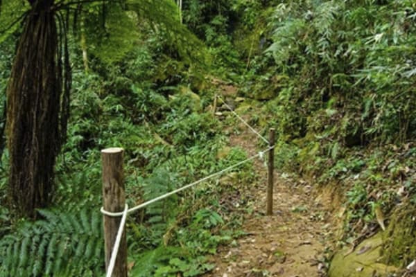 Manakin River Boat - Expedition Cruise
