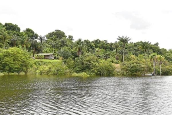 Manakin River Boat - Exploration Cruise