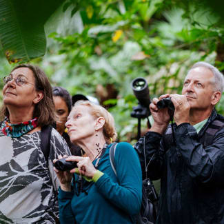 Amazon Wildlife Observation