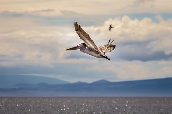 Monserrat Yacht  - Eastern Islands