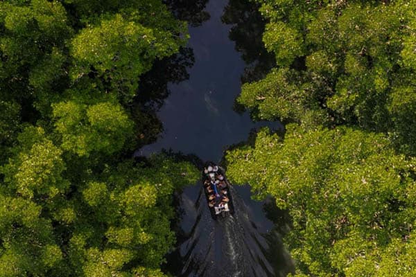 Mutiara Laut - Hidden Lagoons, Endless Reefs, & Manta Rays: North & Central Raja Ampat- Day 2