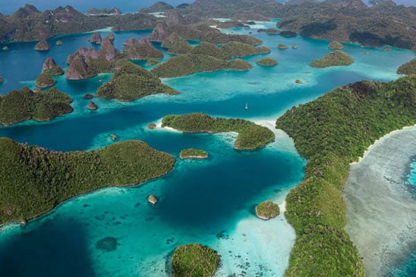 Mutiara Laut - Hidden Lagoons, Endless Reefs, & Manta Rays: North & Central Raja Ampat- Day 4