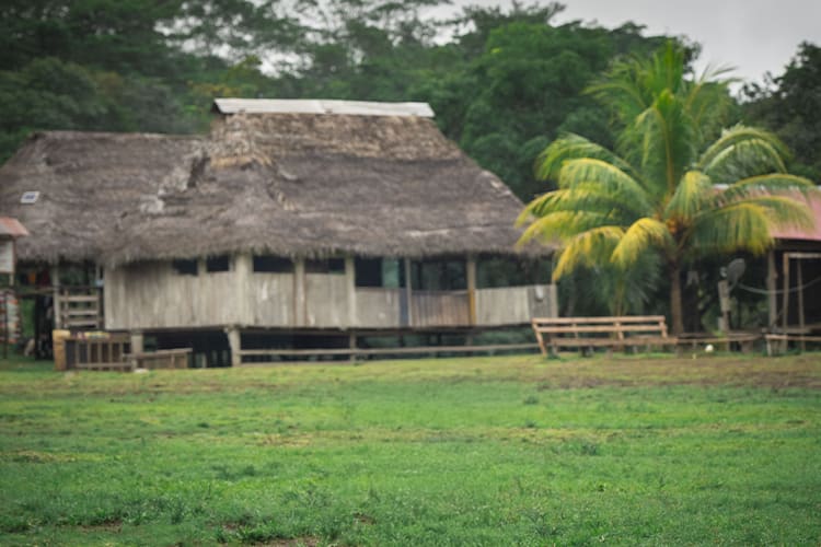 Pure Amazon - 3-Night Itinerary