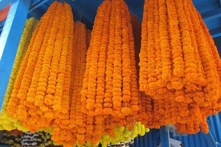 Rajmahal - Historic Hugli : Farakka - Kolkata - Day 4