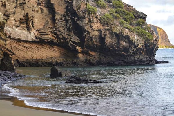 Seaman Journey - Full Galapagos Journey F1