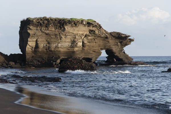 Seaman Journey - Full Galapagos Journey F1