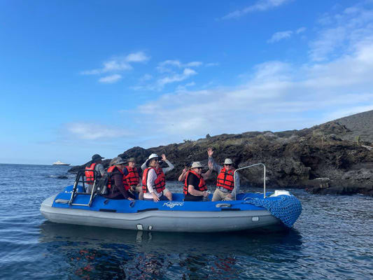 Sea Star (RG) - Northern Islands