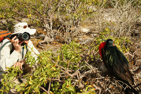 Sea Star (RG) - Western Islands