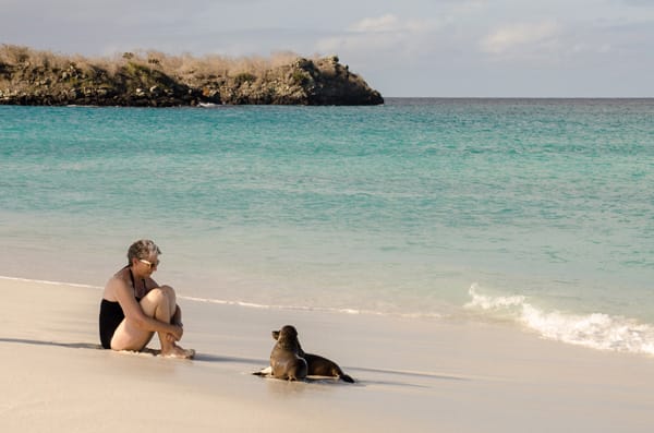 Sea Star (RG) - Western Islands