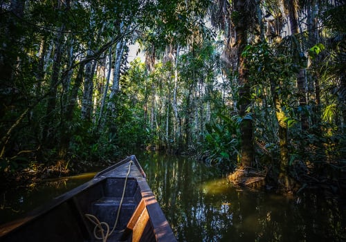 Boat,On,The,Sandoval,Lake.,Puerto,Maldonado,,Peru.