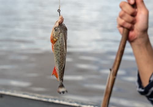 Fishing,Piranha,In,Amazon,River,,Iquitos,,Peru