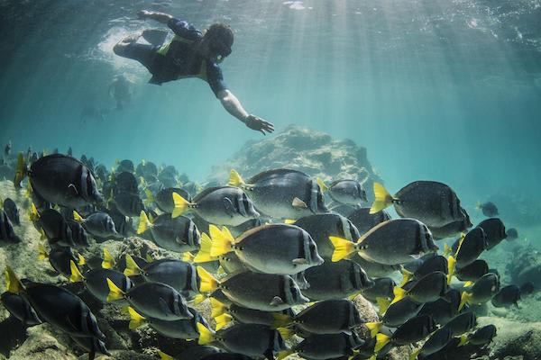 Bonita’s 5-Day Northern Itinerary Day Three - Snorkelling with fish.