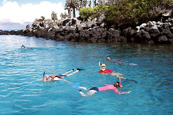 Bonita’s 7-Day Western Itinerary Day Two - Land Iguana.