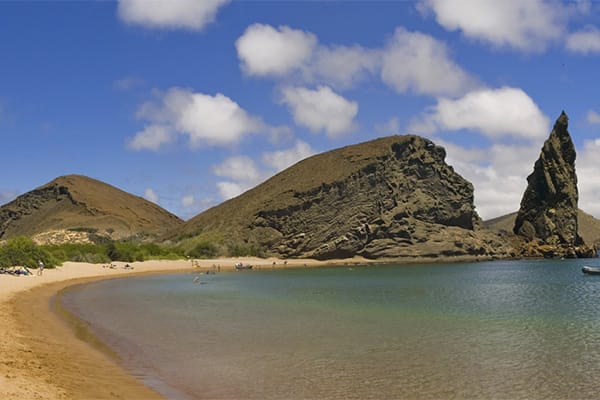 Tribute - Darwin's Odyssey