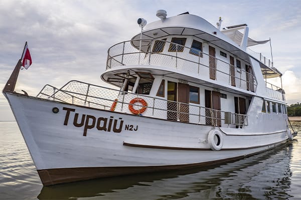 Tupaiú - Amazônia Essencial