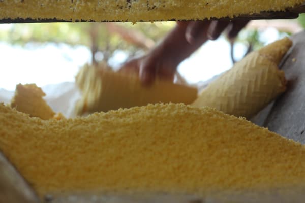 Tupaiú - Amazonian Waters