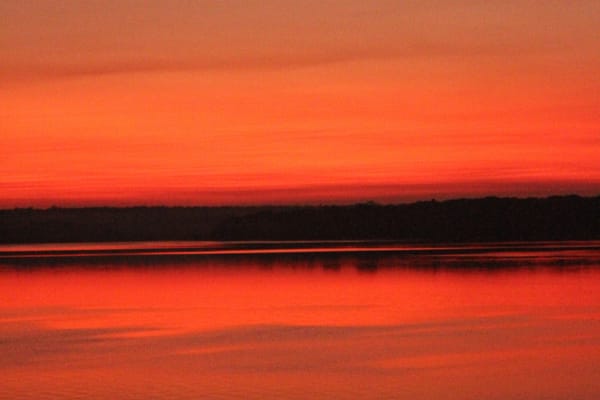 Tupaiú - Deep Immersion