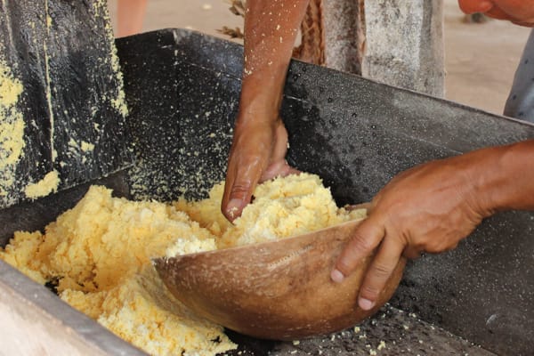 Tupaiú - Essential Encounter