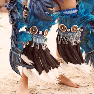 Native Brazilian Tribal Dance