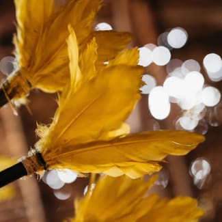 Colorful Feathers Amazon