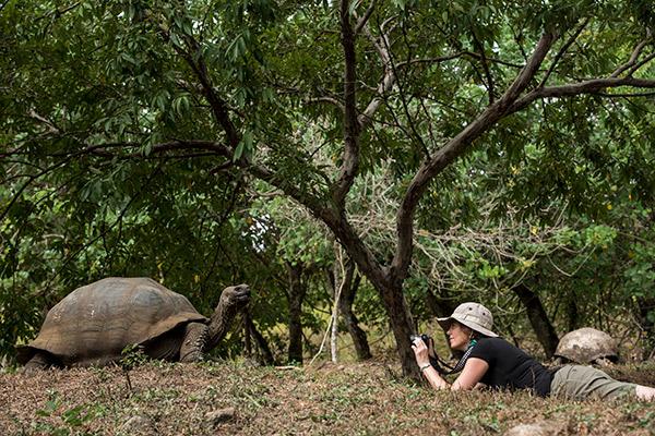 Bonita’s 5-Day Southern Itinerary Day One - Galapagos Giant Tortoise.