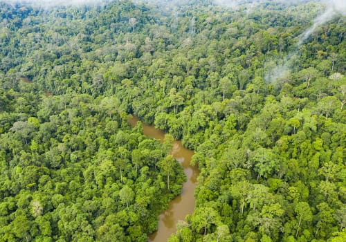 View,From,Above,,Stunning,Aerial,View,Of,A,Tropical,Rainforest