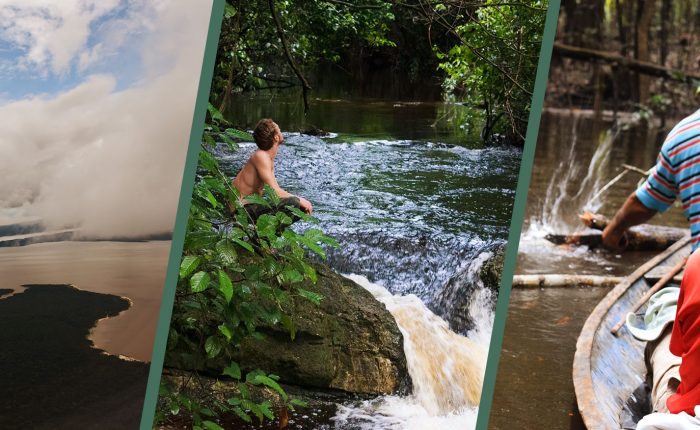 jungle tours from manaus