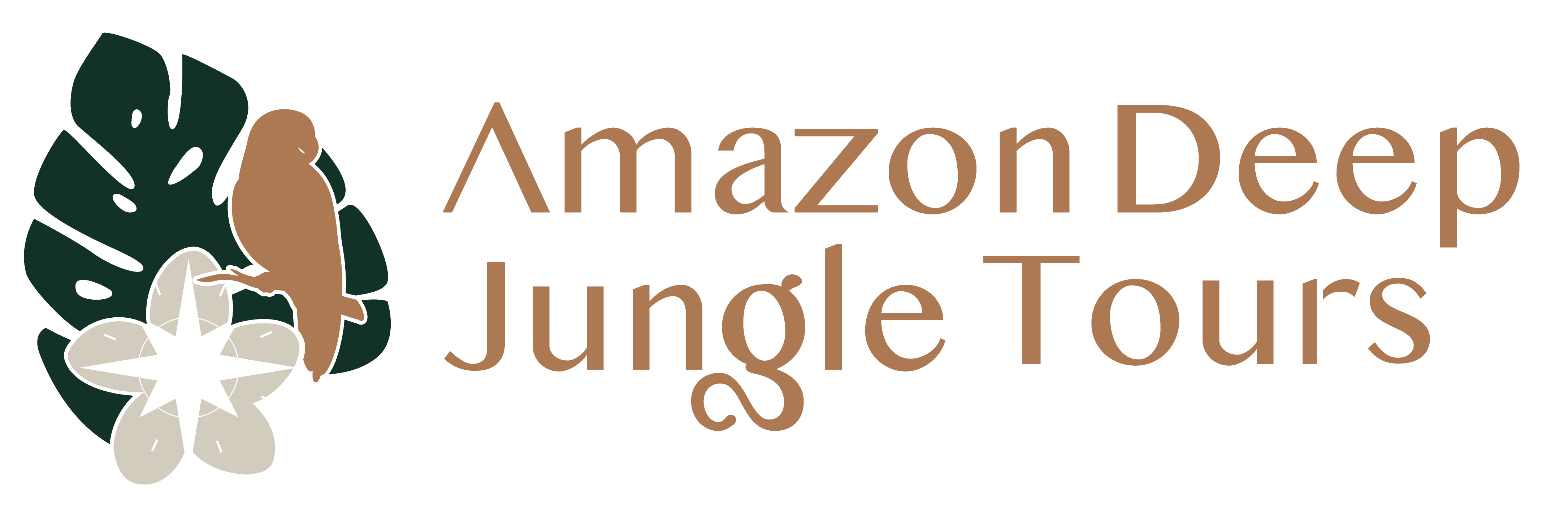 amazon trip in brazil